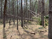 FL-Hurricane-Idalia-downed-trees-Sept2023_IMG_0318