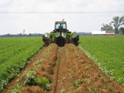 FL-NRCS-No-till_Jay-field-ofice