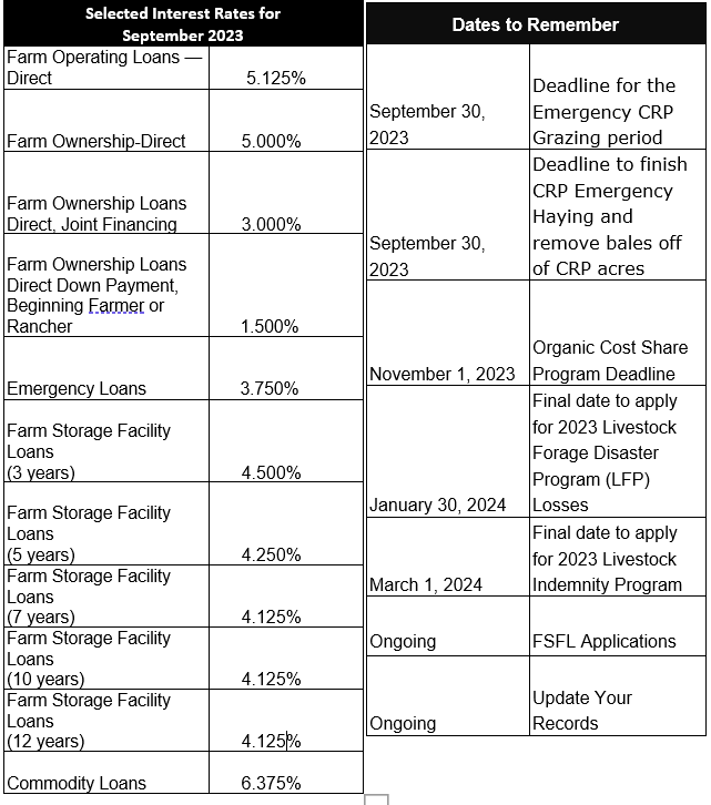 September Interest Rates