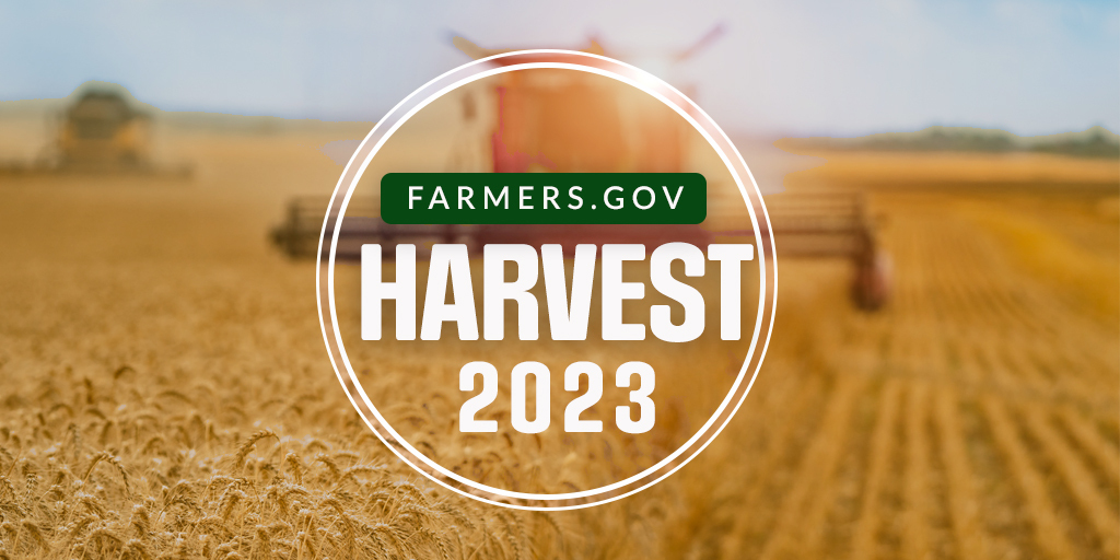 Harvest 2023