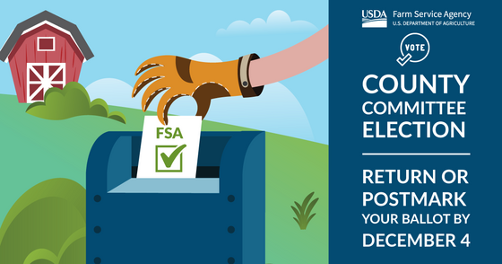 FSA Election Graphic