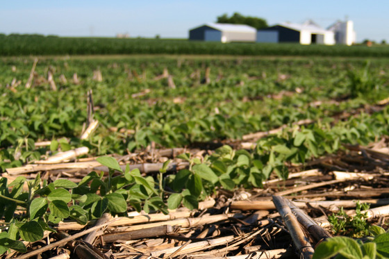 CoverCrops