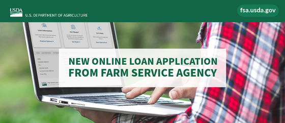 Online Loan Application Poster