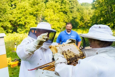 People Gathering Honey