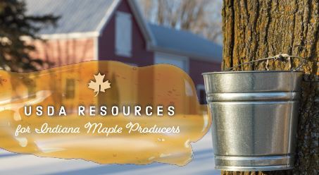 Maple Sap Resources Poster