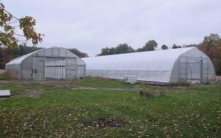 Seasonal high tunnels on the Denny farm in Ionia County.