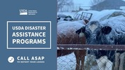 USDA Disaster Assistance Programs
