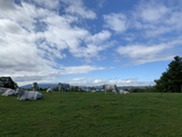 Grazing in New Hampshire