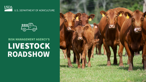 RMA Livestock Roadshow