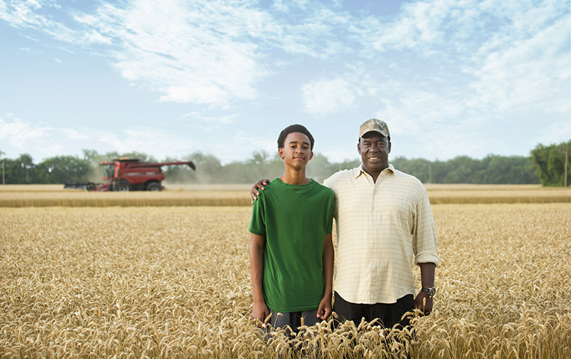Census African American Family Wheat Large Farm