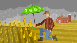 Crop Insurance