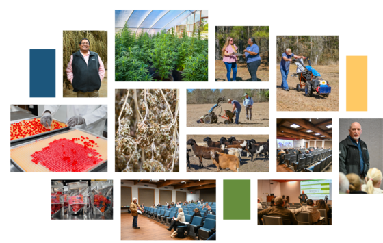 Enjoy some our photos that capture the beauty, diversity, and agricultural bounty of Louisiana (and us in action)!