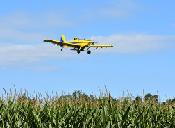 Airplane spreading cover crop seed over a field in Van Buren County.