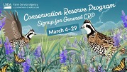 2024 CRP General Signup Info Graphic