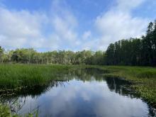 Florida RCPP - ACT news release photo