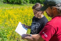 grassland birds and cover crop