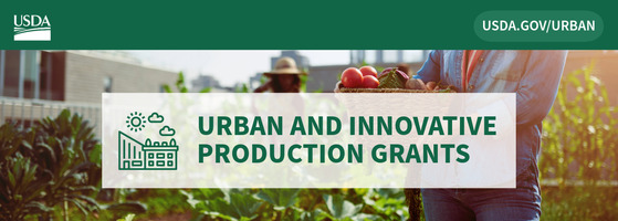 USDA Accepting Applications for Urban Agriculture and Innovative Production
