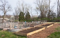 Garden beds