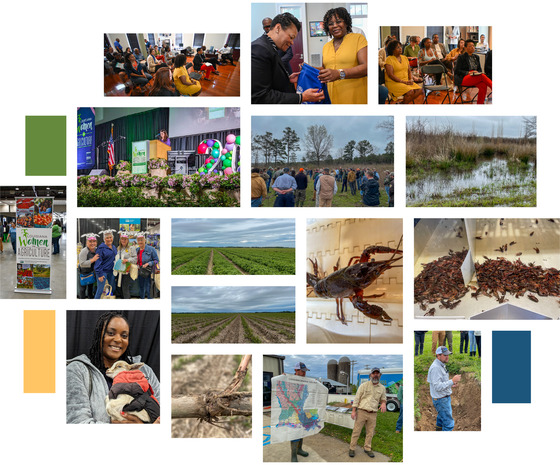 Collage of photos from March