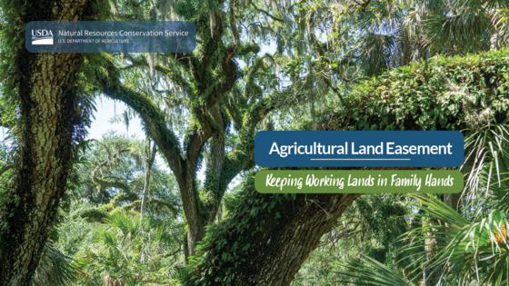 FL-Trees-Agriculture Land Easement Headline
