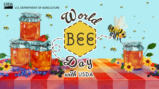 World Bee Day