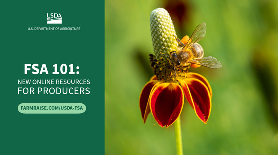 FSA 101 for Honey Bee Producers