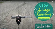 Acreage Reporting