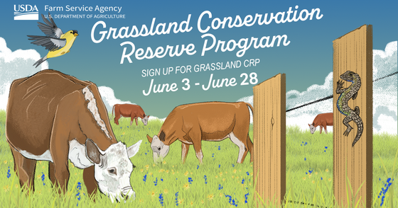 USDA Announces Grassland Conservation Reserve Program General Signup ...