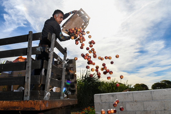 USDA Opens Application Period for Composting and Food Waste Reduction Cooperative Agreements 