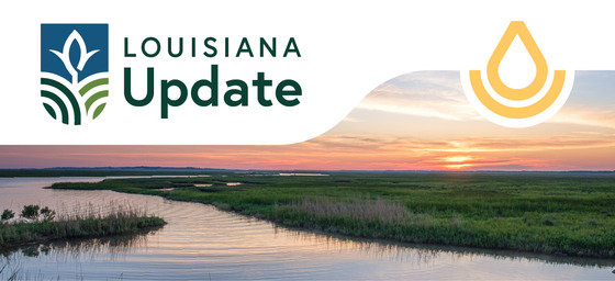 Louisiana Update Header