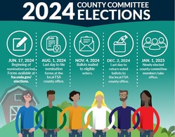 2024 Elections Graphic