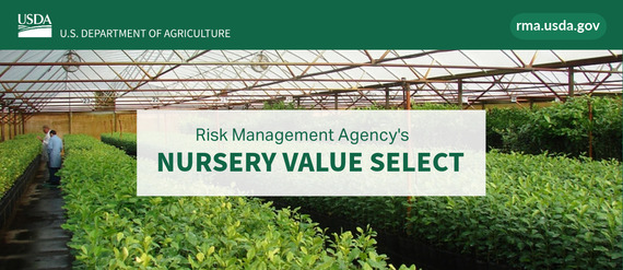 RMA Nursery Select