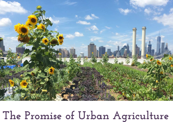 Promise of Urban Ag