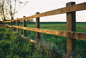 fence