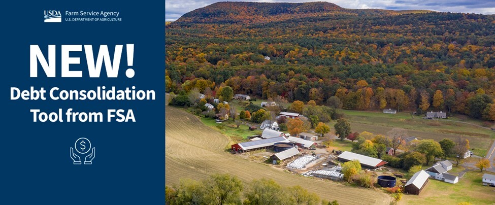 USDA Debt Consolidation Tool