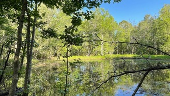 Florida RCPP Easement