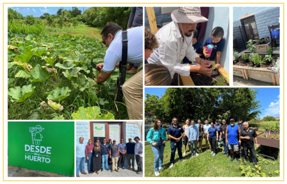 Puerto Rico Farm Visit Collage