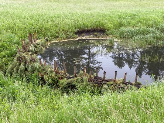 Photograph of a man-made beaver dam analog, which functions similarly to a beaver dam in how it impacts the stream and surrounding area.