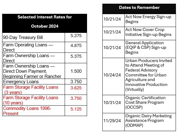 October 2024 Interest Rates 