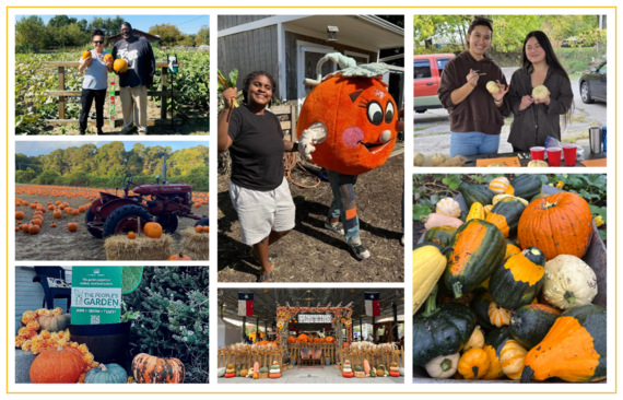 People's Garden Collage of Pumpkin Images