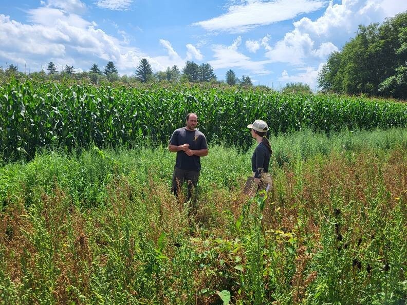 Picture of a farmer and conservationist in a field in Vermont