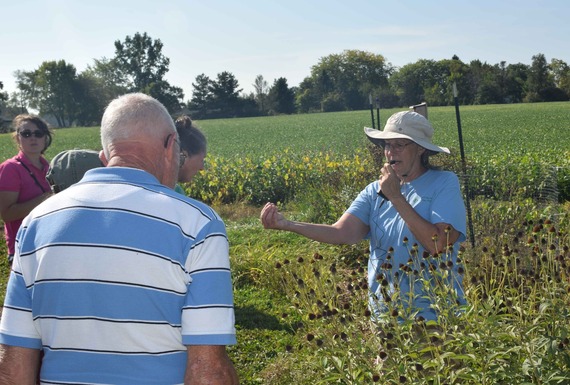 Angela Nelson, of East Michigan Native Plants, LLC, speaks during the tour's stop at her farm in Shiawassee County.