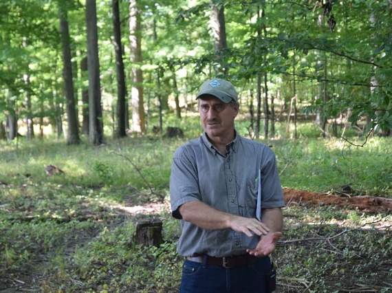 Private forester Jeff Tuller talks about how he manages his woodlot.