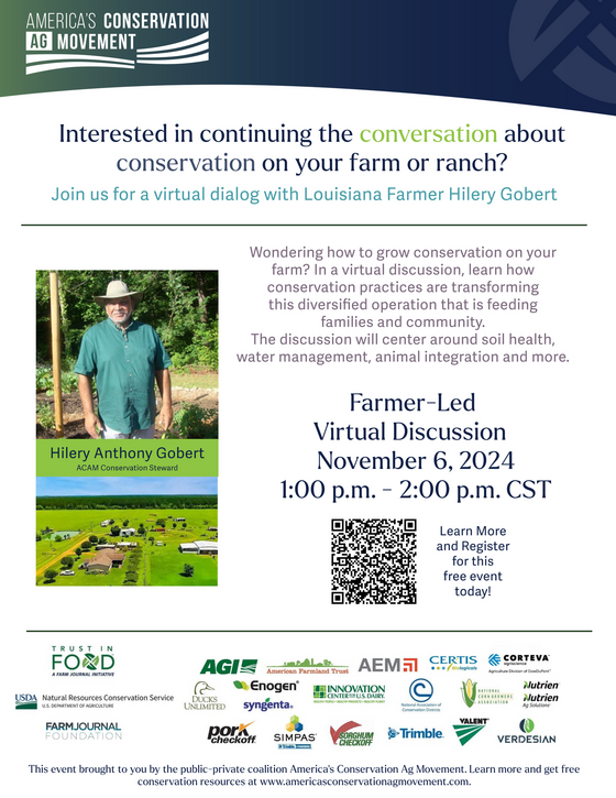 Flyer for Nov 6 Virtual Peer Discussion