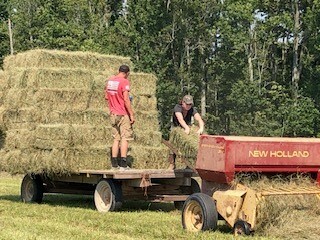 Farmer baling square bales of hay