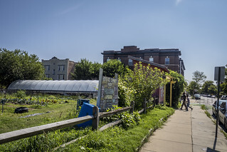 urban farm scene