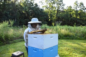 Person and their honeybee hive