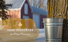 Bucket hanging from tree, barn in background