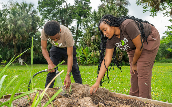 photo of two people watering some plants