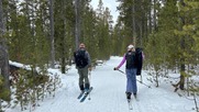 Two people cross country skiing in woods